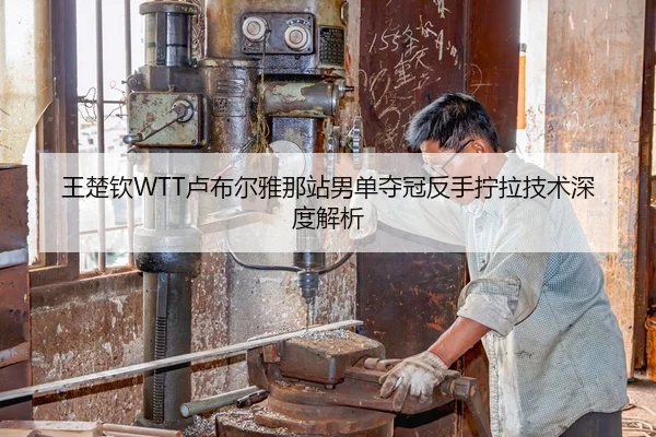 王楚钦WTT卢布尔雅那站男单夺冠反手拧拉技术深度解析