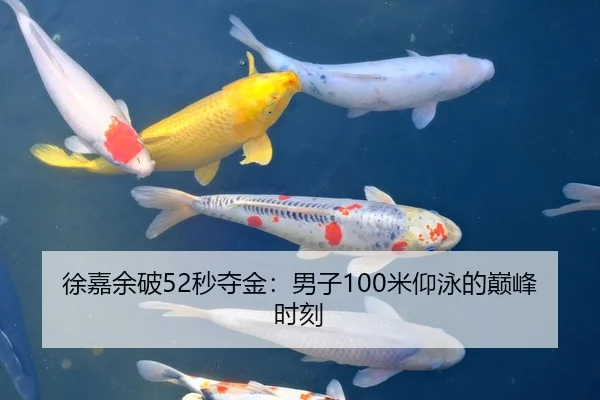 徐嘉余破52秒夺金：男子100米仰泳的巅峰时刻