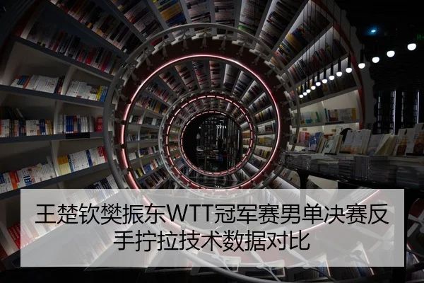 王楚钦樊振东WTT冠军赛男单决赛反手拧拉技术数据对比